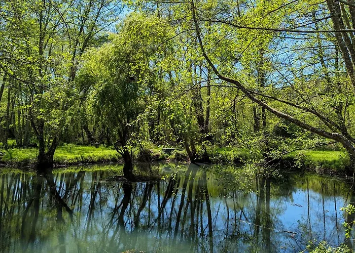 Im Herzen Des Perigord Noir In Der Naehe Von Limeuil By Interhome Сasa de vacaciones
